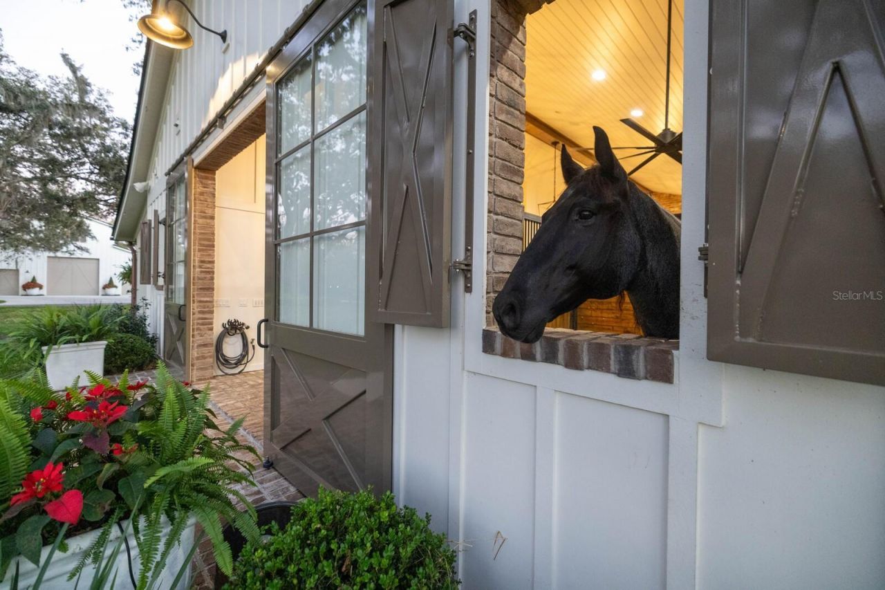 10101 Tarpon Springs Road , Odessa, FL 33556 Photo