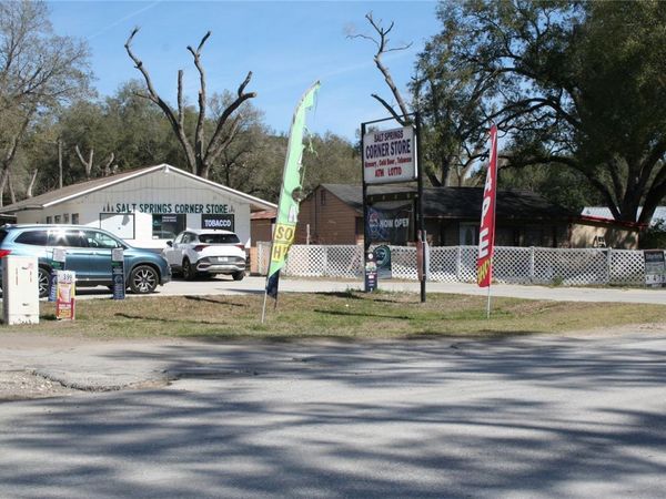 12959 NE 250TH COURT , SALT SPRINGS, FL 32134