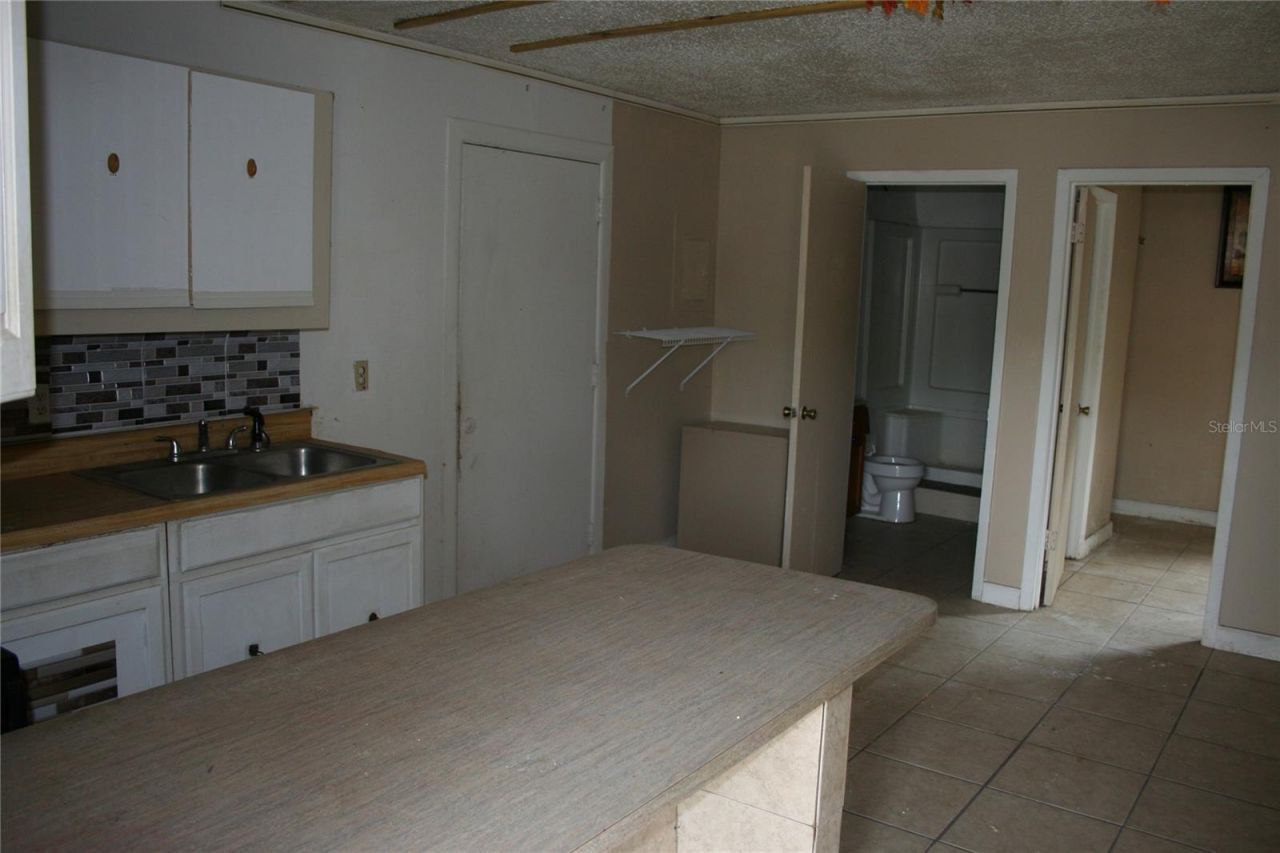 12959 NE 250th Court, Salt Springs, FL 32134 Photo