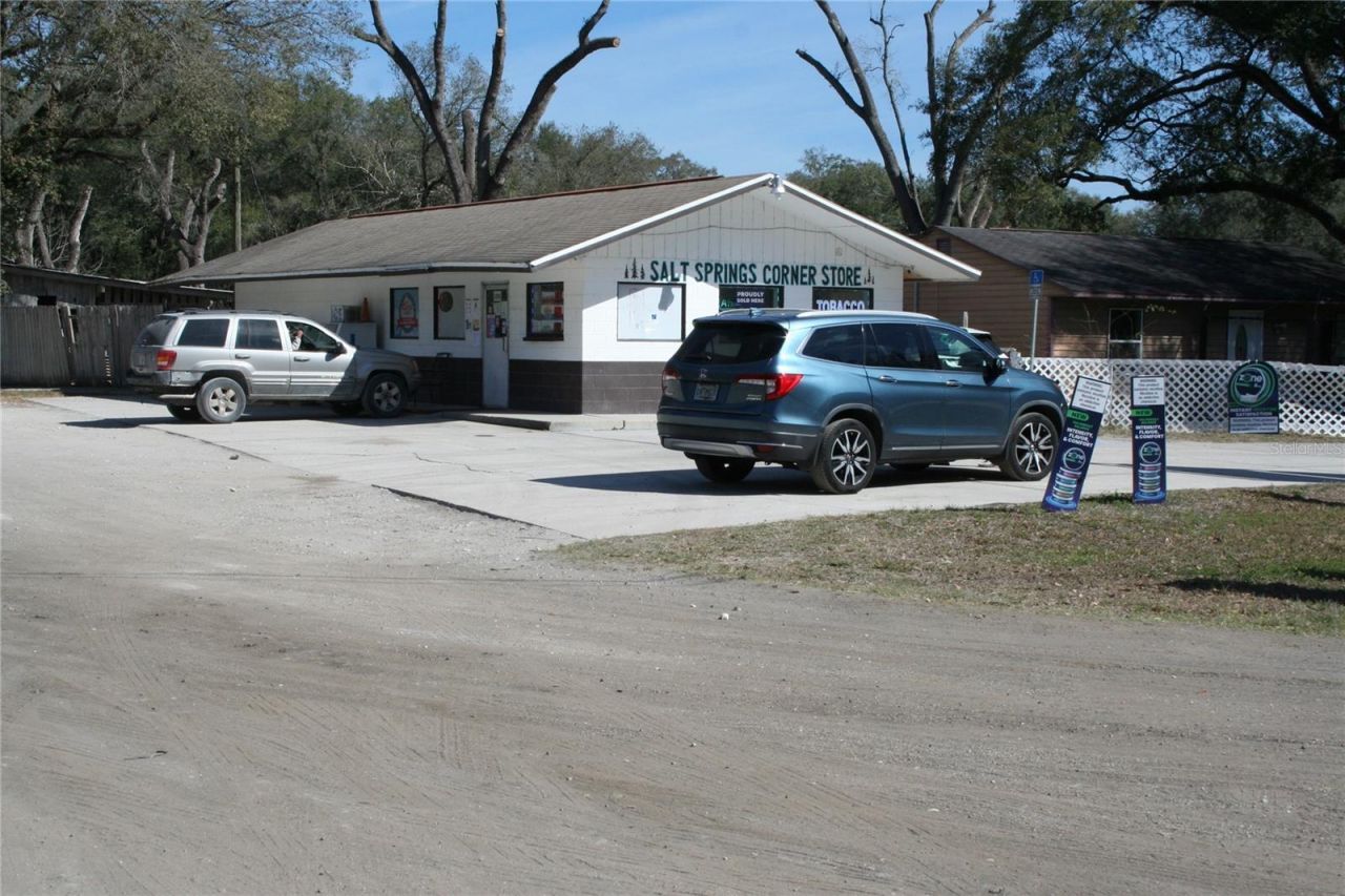 12959 NE 250th Court, Salt Springs, FL 32134 Photo