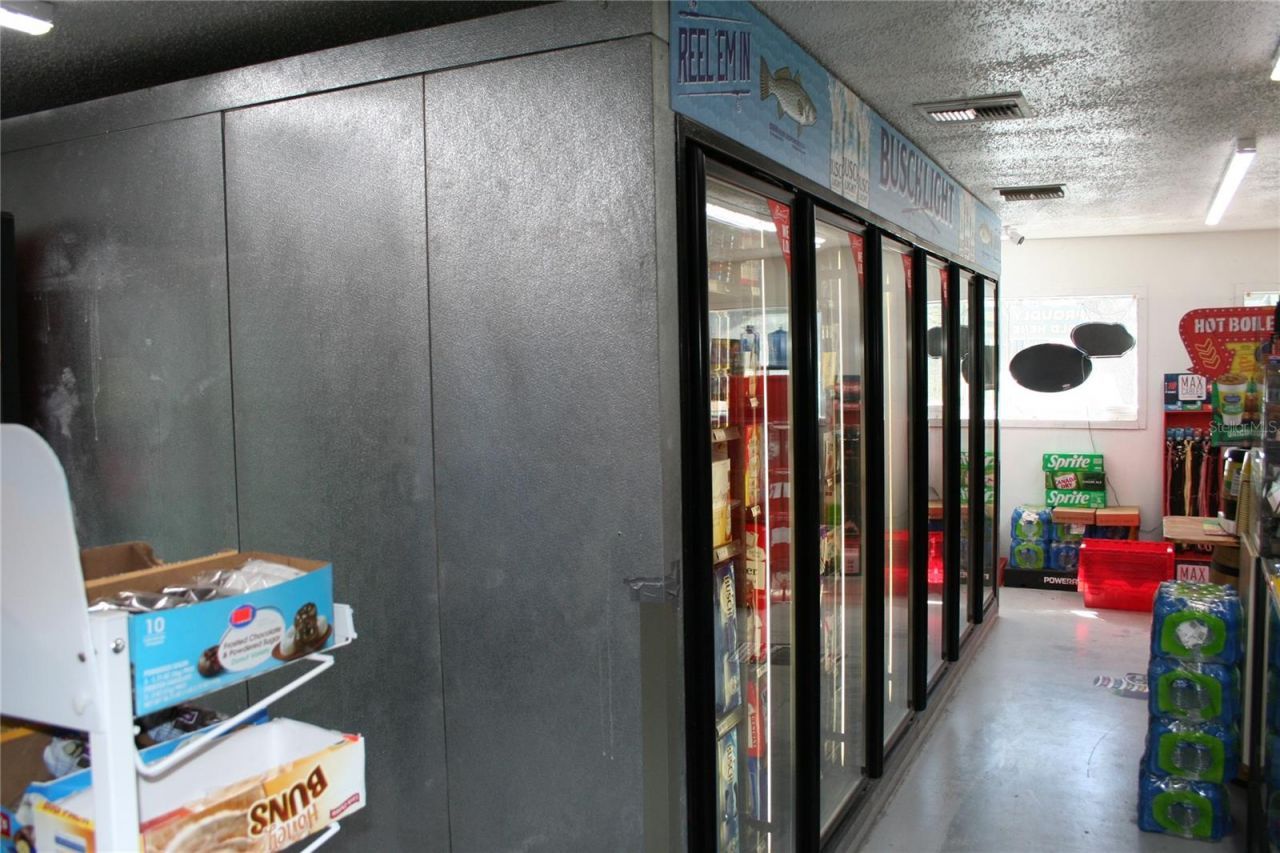 12959 NE 250th Court, Salt Springs, FL 32134 Photo