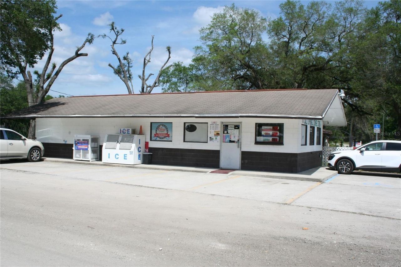 12959 NE 250th Court, Salt Springs, FL 32134 Photo