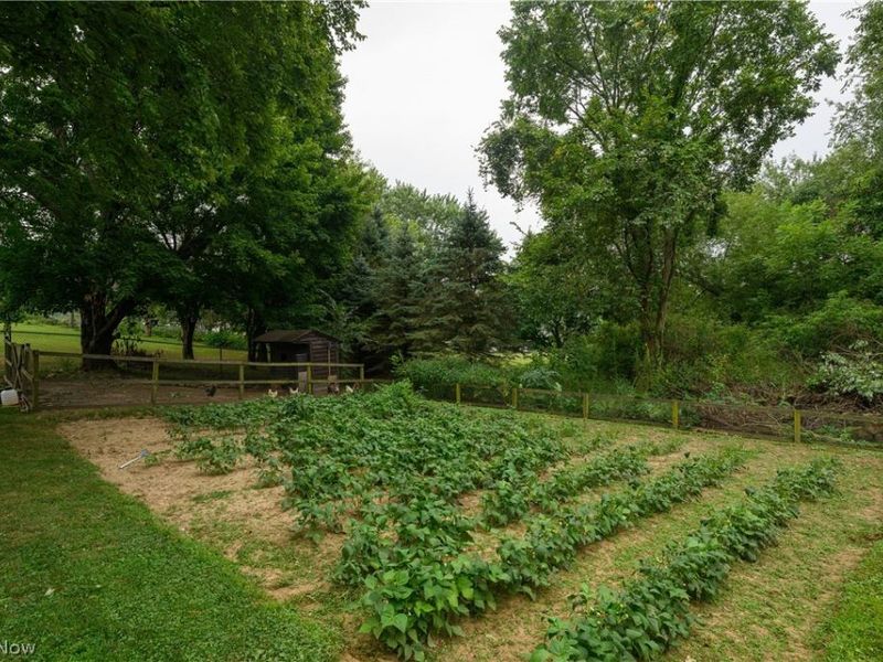 10299 Hunting Hills Avenue NE, Hartville, OH 44632 Photo 7