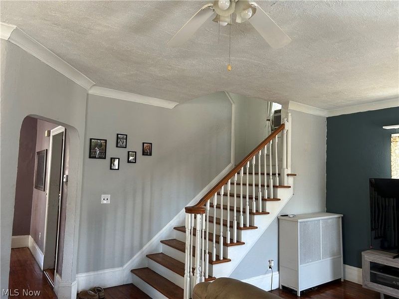 3934 Robert Avenue, Cleveland, OH 44109 Photo 2