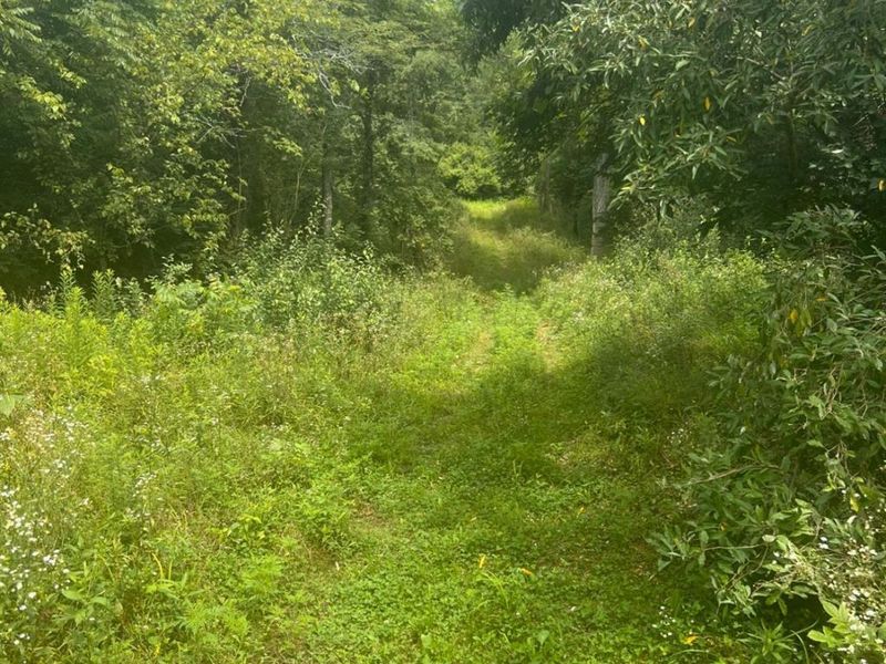 AC Oxford Trenton Road, Oxford, OH 45056 Photo 16