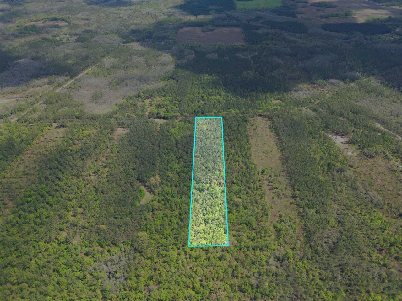 Tbd SW Paradise Way, Greenville, FL 32331 Photo