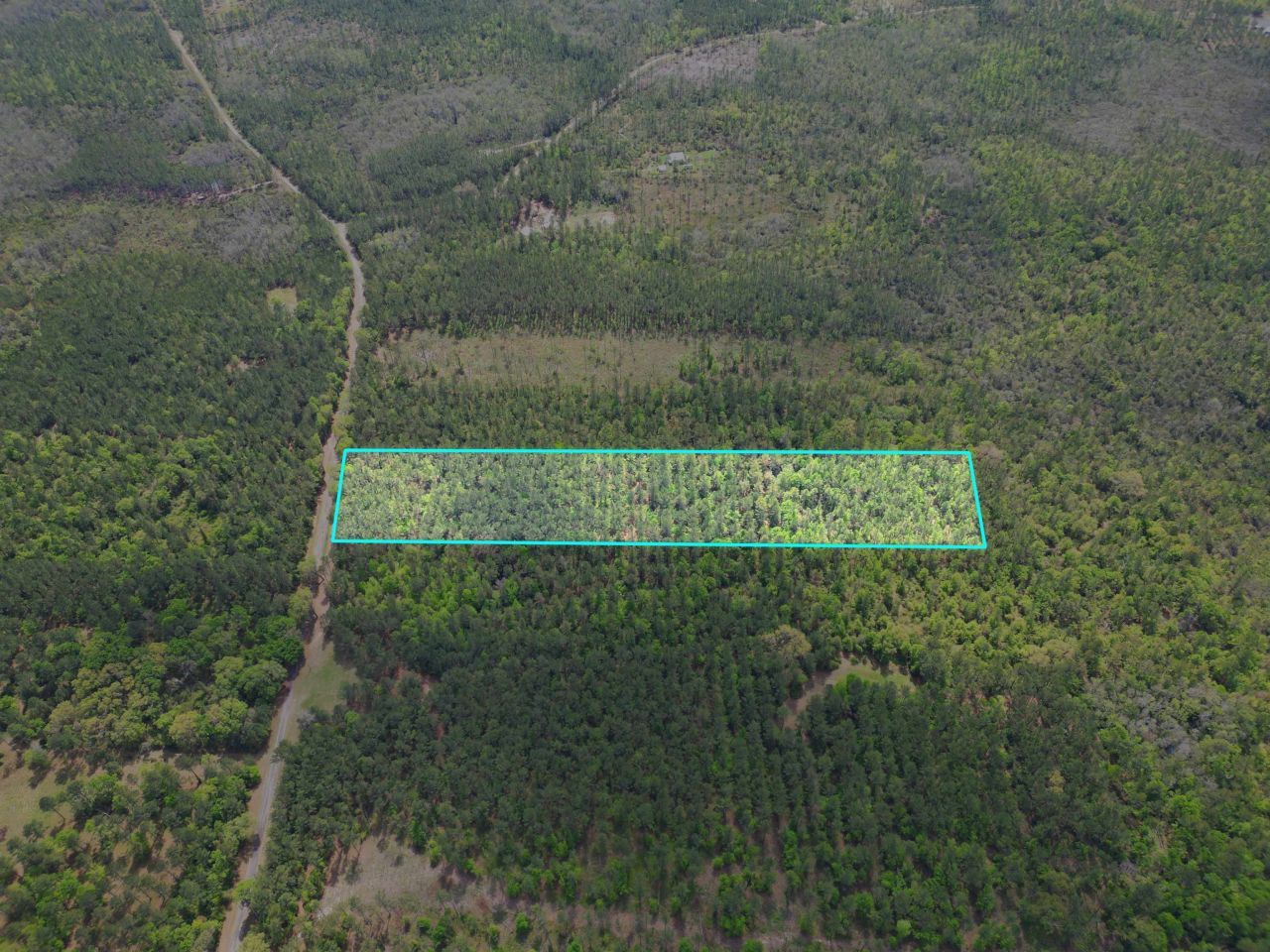 Tbd SW Paradise Way, Greenville, FL 32331 Photo