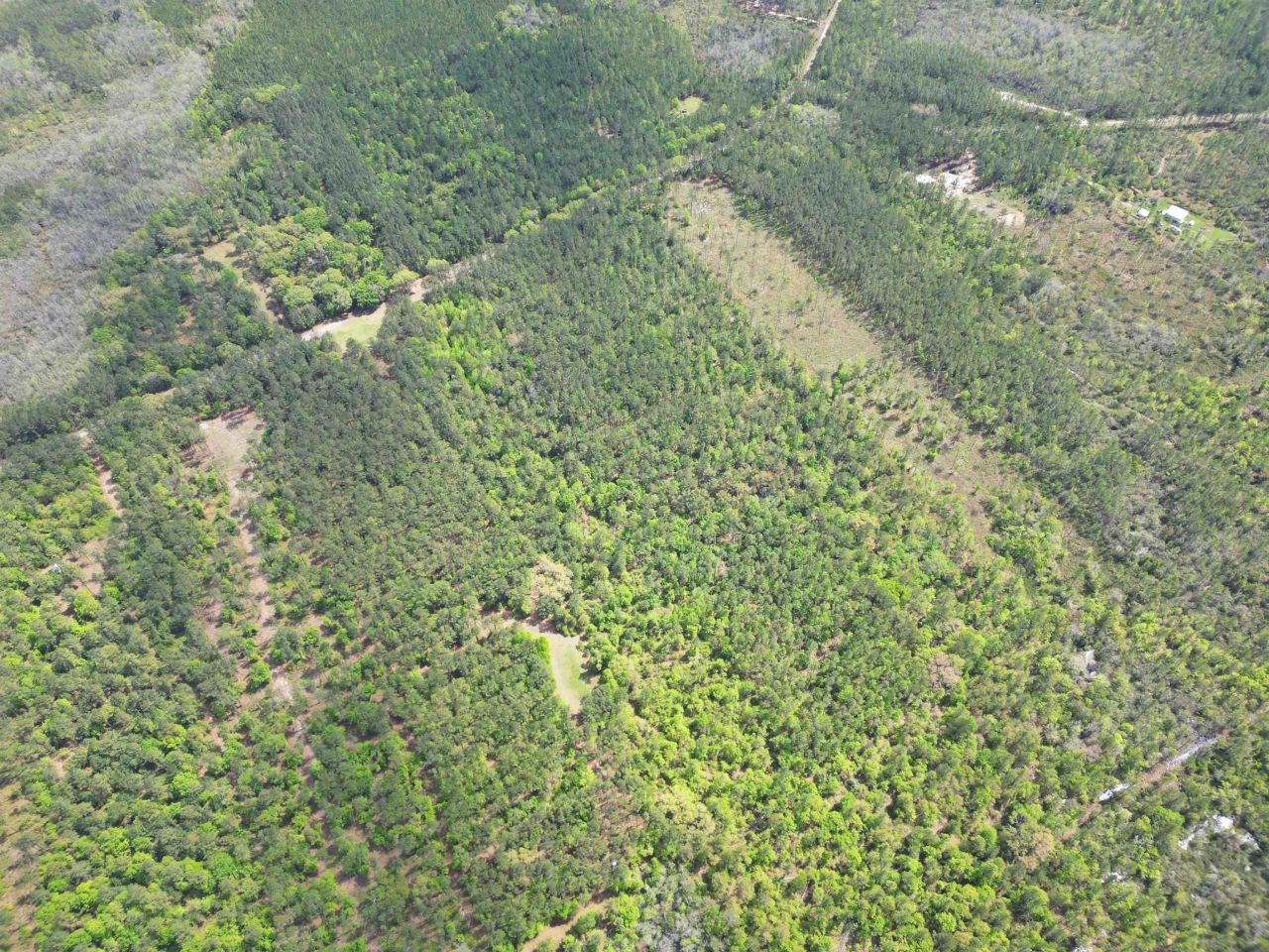 Tbd SW Paradise Way, Greenville, FL 32331 Photo