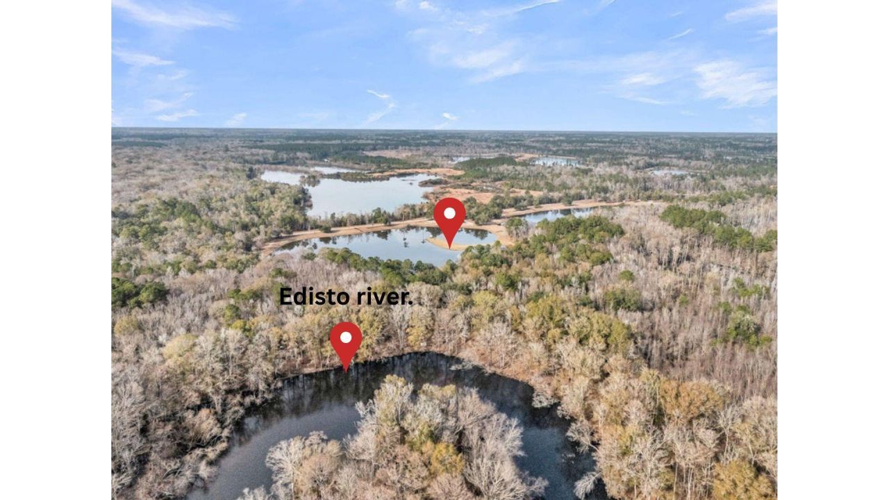 335 Pine Bluff Road Photo 4