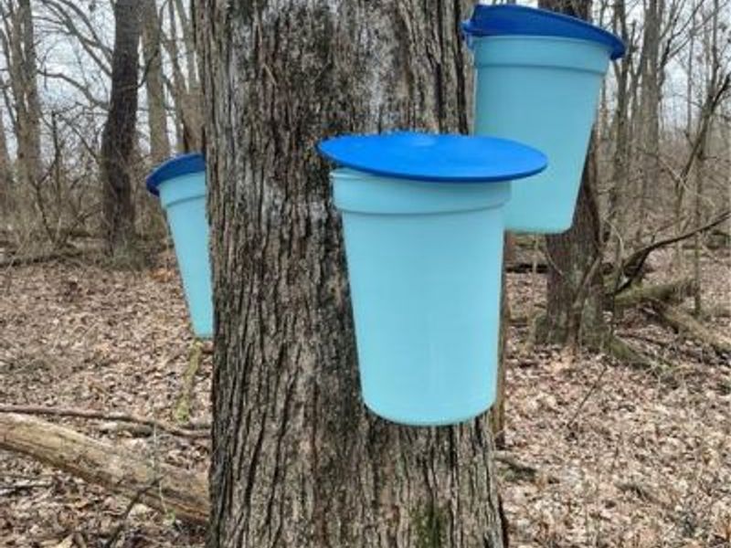 7403 Fairground Road, Blanchester, OH 45107 Photo 12