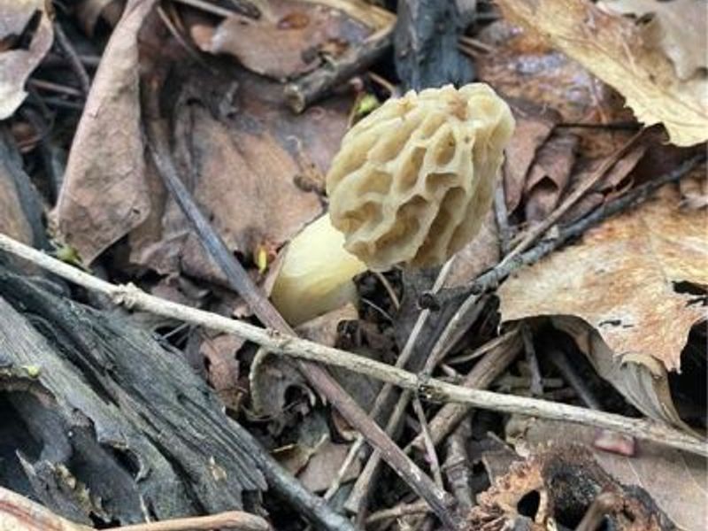 7403 Fairground Road, Blanchester, OH 45107 Photo 14