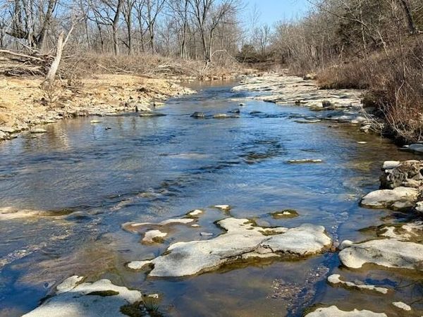 000 State Hwy M, Cabool, MO 65689