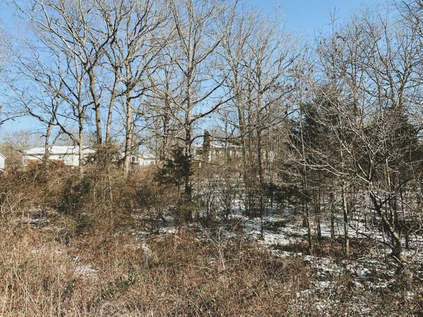 000 Ginger Drive Lot 11, West Plains, MO 65775