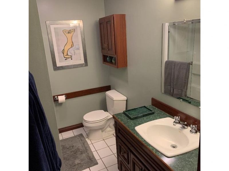 3832 Sharon Copley Road, Medina, OH 44256 Photo 33