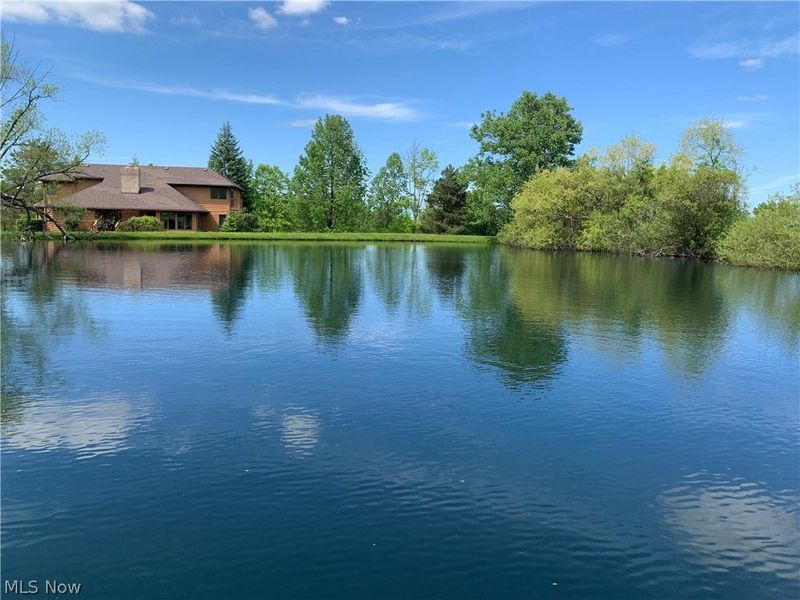 3832 Sharon Copley Road, Medina, OH 44256 Photo 36