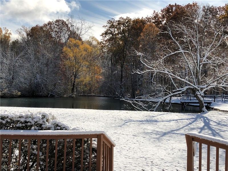 3832 Sharon Copley Road, Medina, OH 44256 Photo 37