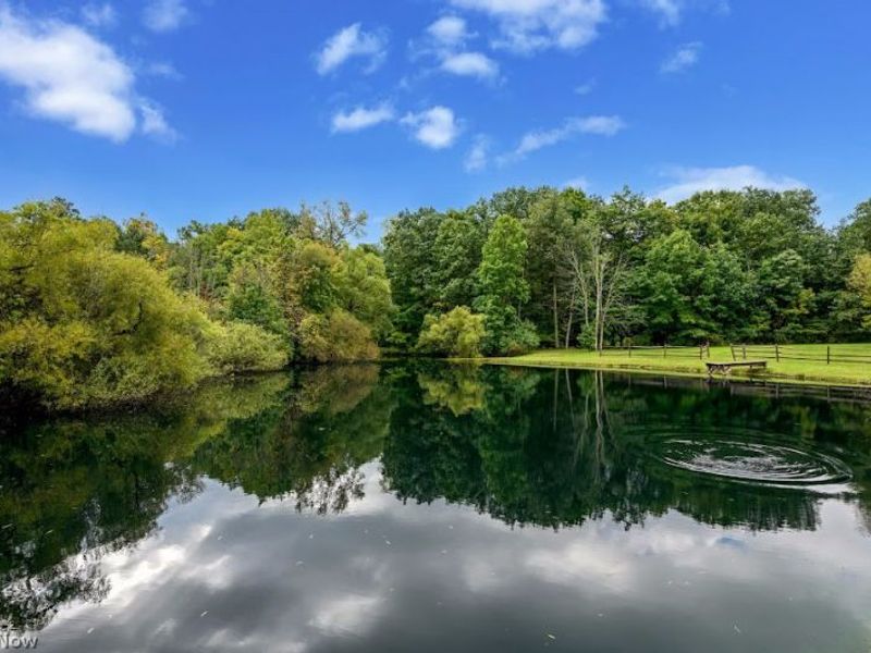 3832 Sharon Copley Road, Medina, OH 44256 Photo 38