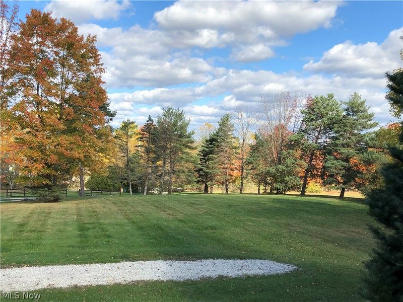 3832 Sharon Copley Road, Medina, OH 44256 Photo 47