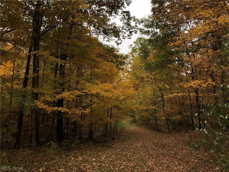 3832 Sharon Copley Road, Medina, OH 44256 Photo 48