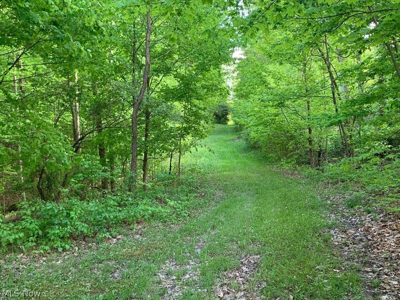 3832 Sharon Copley Road, Medina, OH 44256 Photo 49