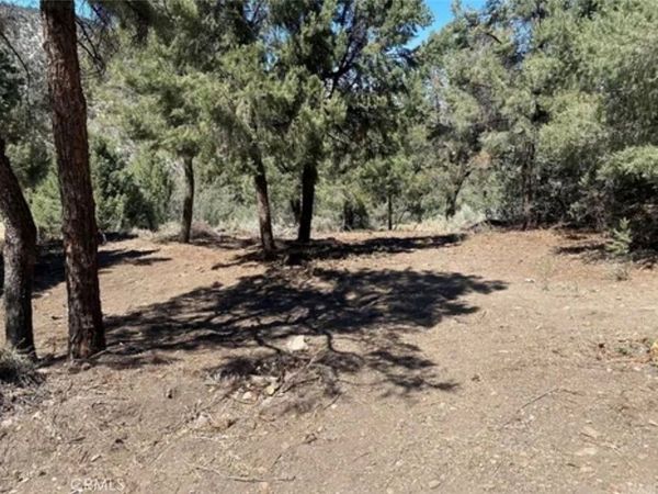 2217 Saint Bernard Drive, Pine Mountain Club, CA 93222