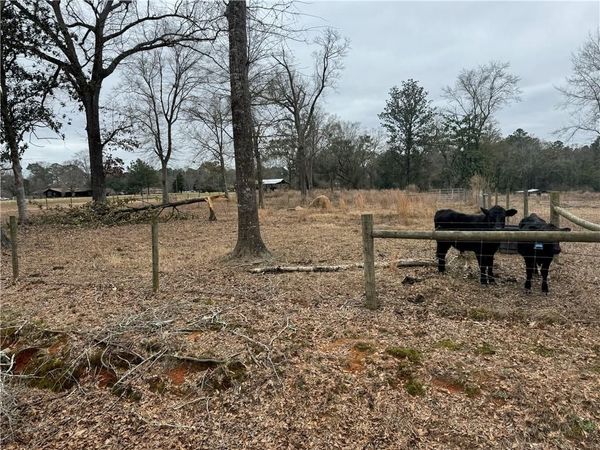 8950 Williams Street W, Citronelle, AL 36522