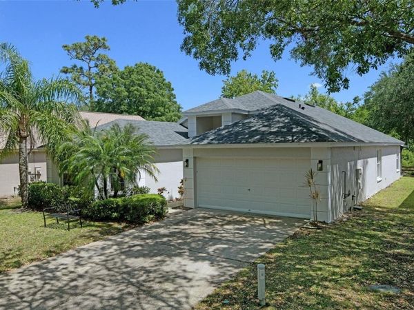 13405 FAWN SPRINGS DRIVE , TAMPA, FL 33626