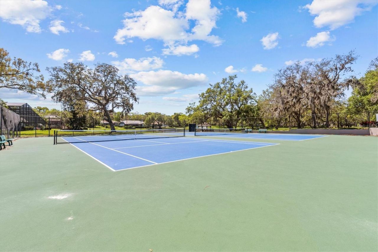 2111 Pinnacle Circle N, Palm Harbor, FL 34684 Photo