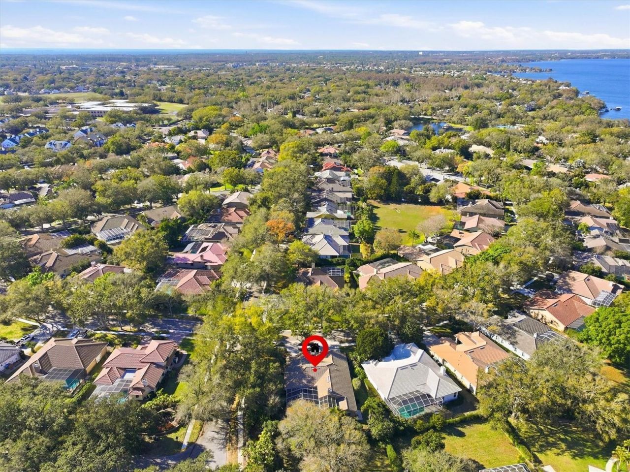 2111 Pinnacle Circle N, Palm Harbor, FL 34684 Photo