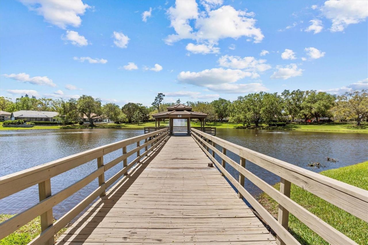 2111 Pinnacle Circle N, Palm Harbor, FL 34684 Photo