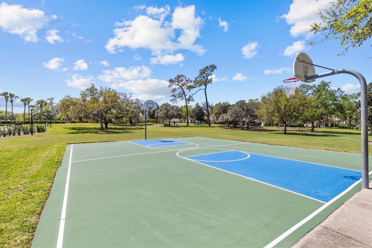 2111 Pinnacle Circle N, Palm Harbor, FL 34684 Photo