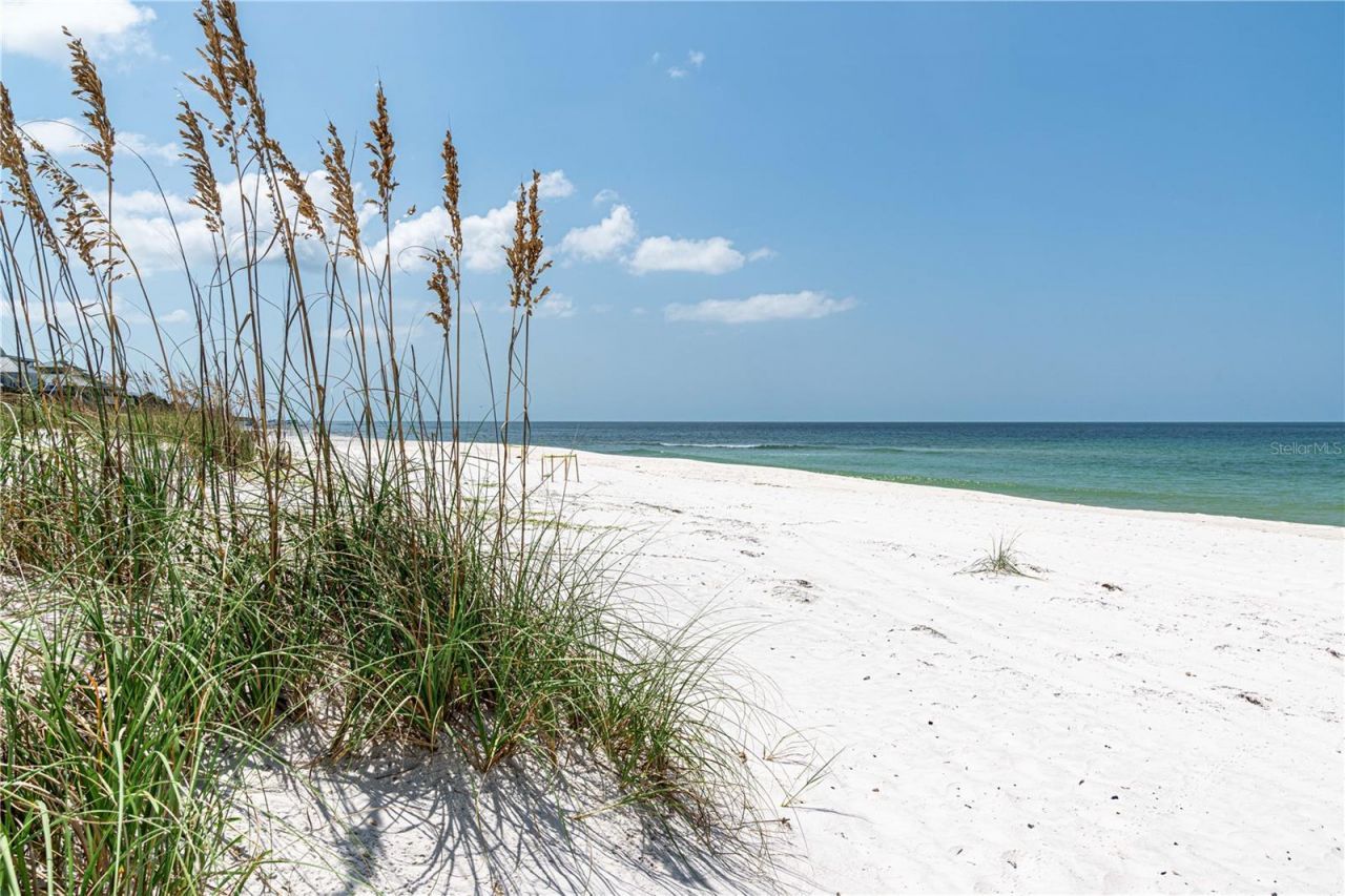 1817 Highway 98, Mexico Beach, FL 32456 Photo