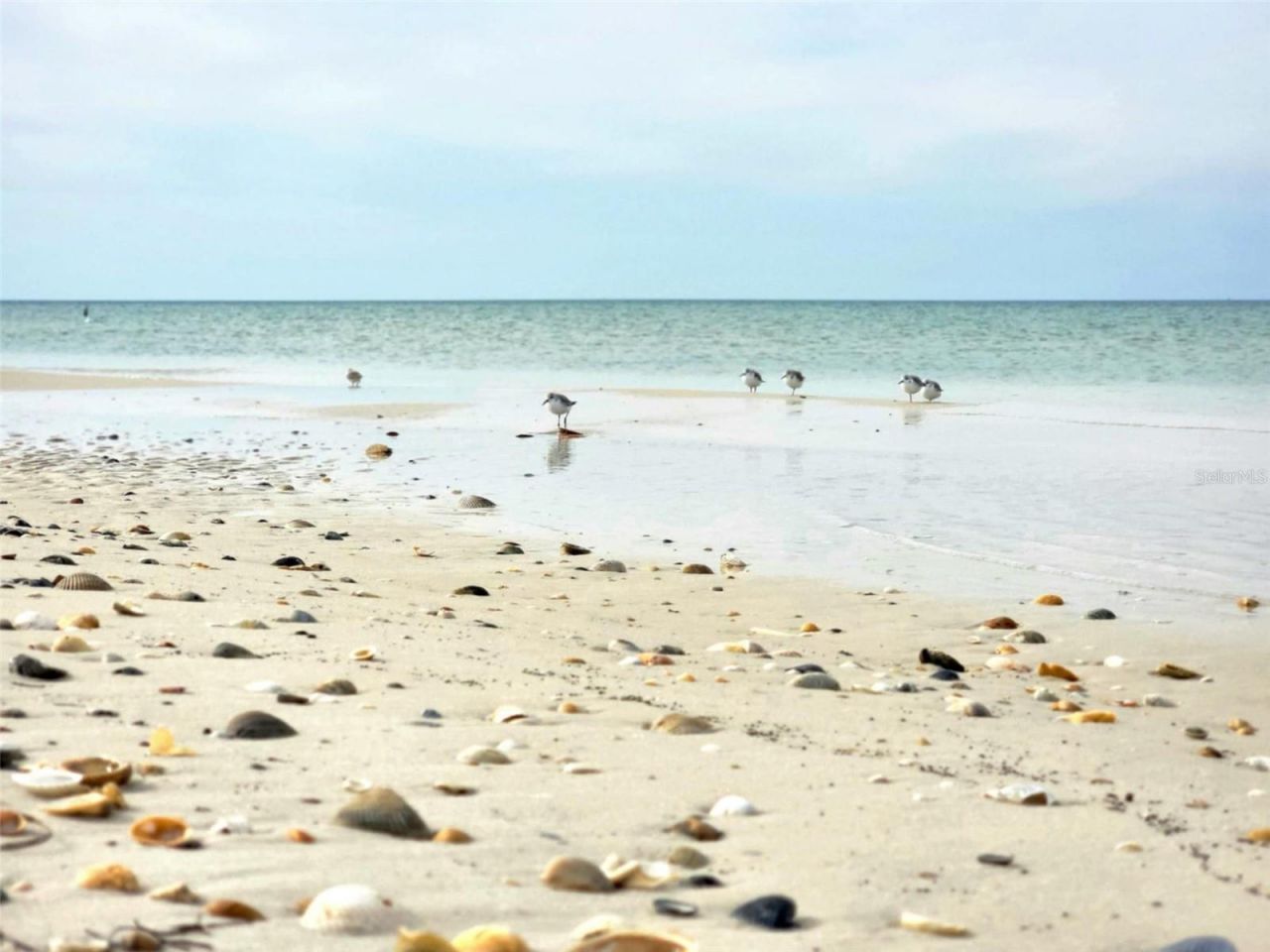 1817 Highway 98, Mexico Beach, FL 32456 Photo