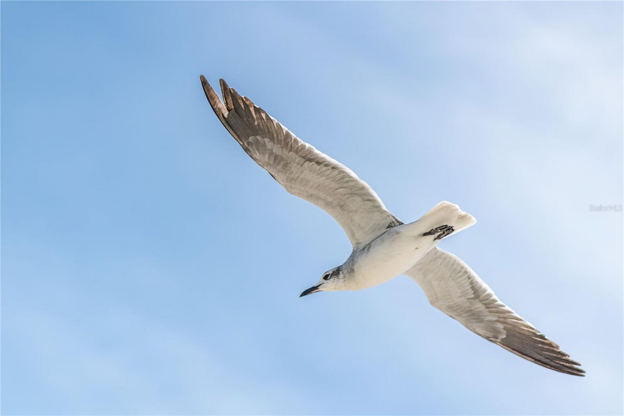 1817 Highway 98 , Mexico Beach, FL 32456 Photo