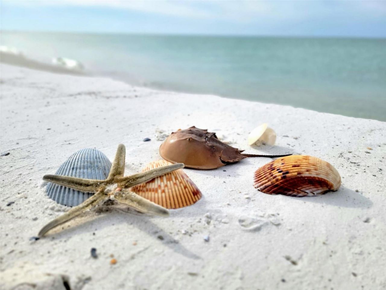 1817 Highway 98 , Mexico Beach, FL 32456 Photo