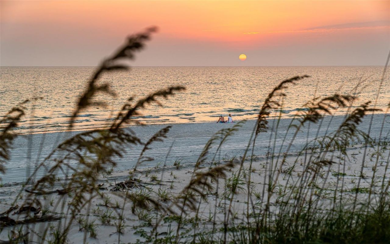 1817 Highway 98 , Mexico Beach, FL 32456 Photo