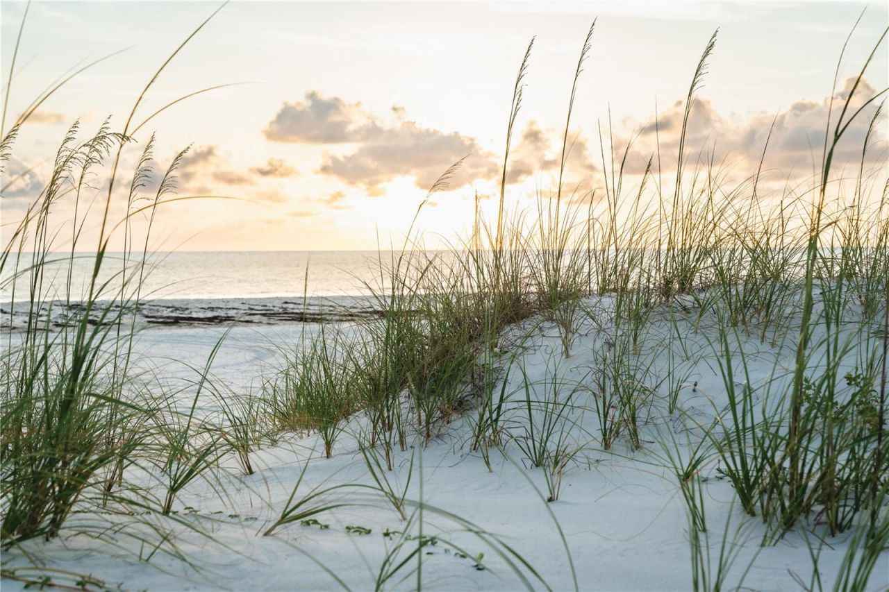 1817 Highway 98, Mexico Beach, FL 32456 Photo