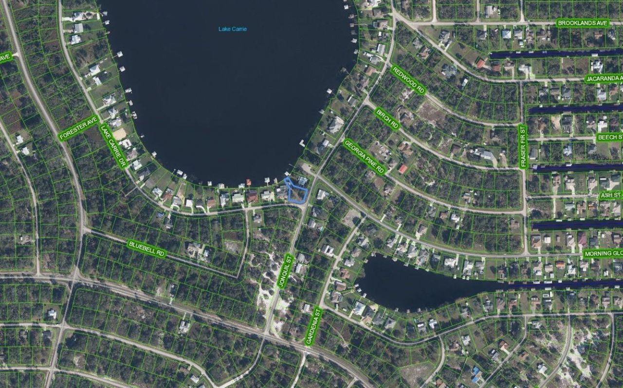 1018 Jonquil Street, Lake Placid, FL 33852 Photo