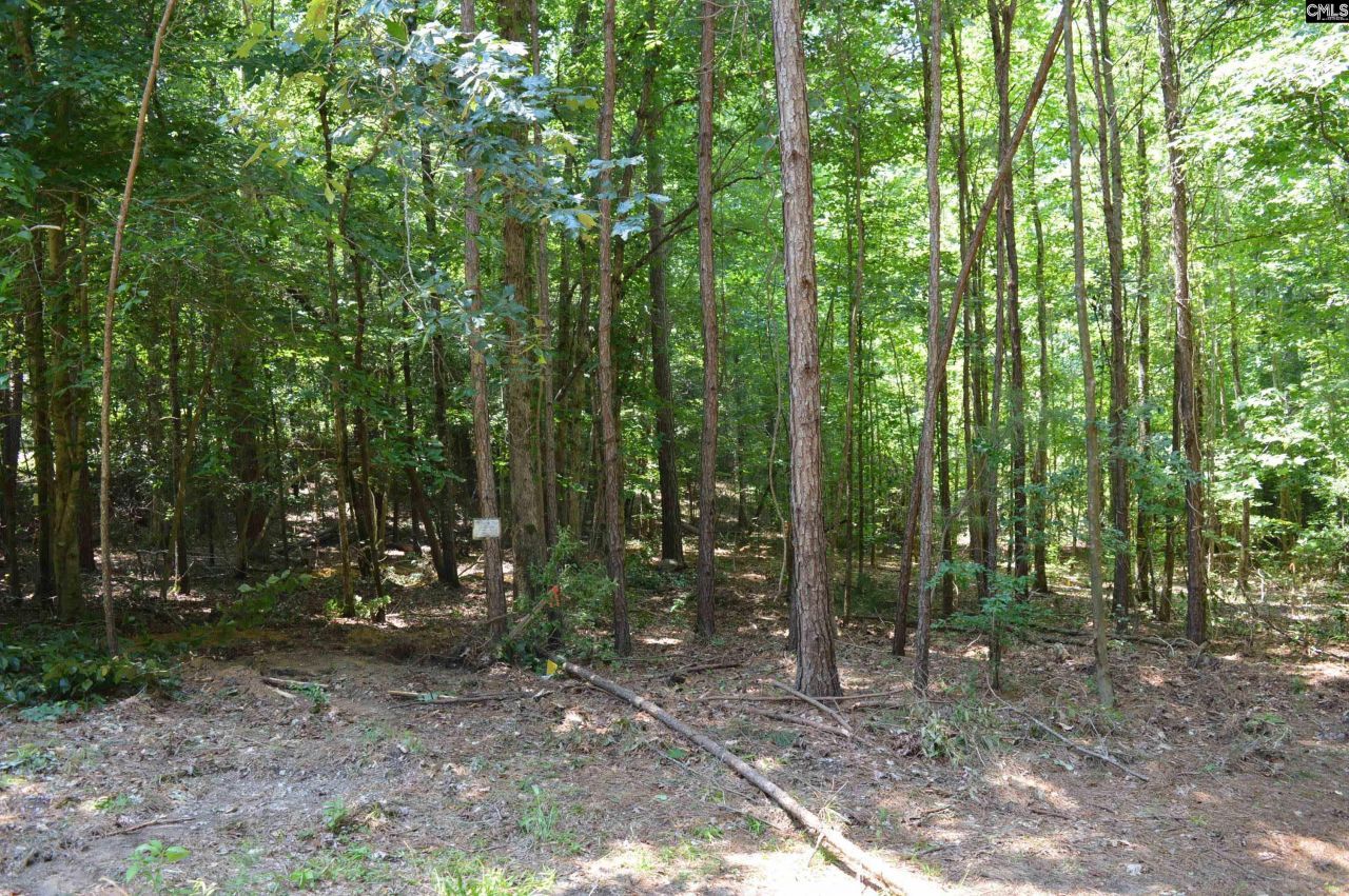 280 General Sumter Drive  Photo 10