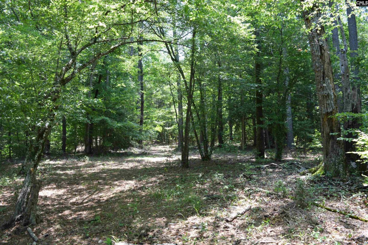 280 General Sumter Drive  Photo 11