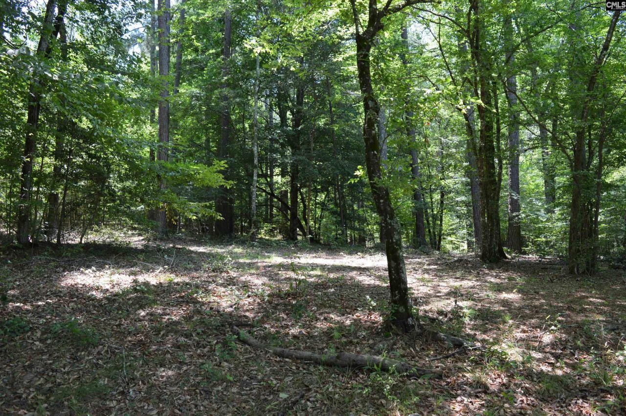 280 General Sumter Drive  Photo 12