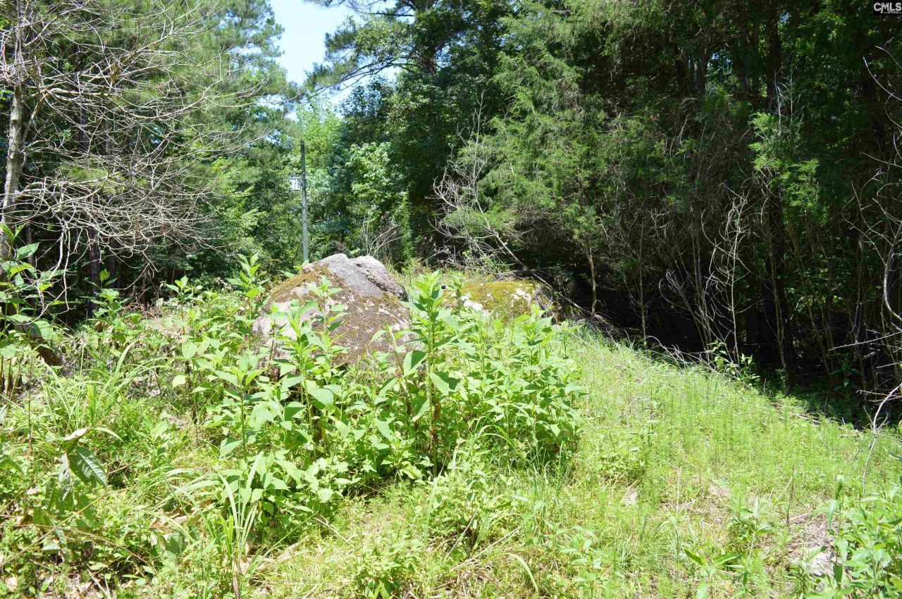 280 General Sumter Drive  Photo 13