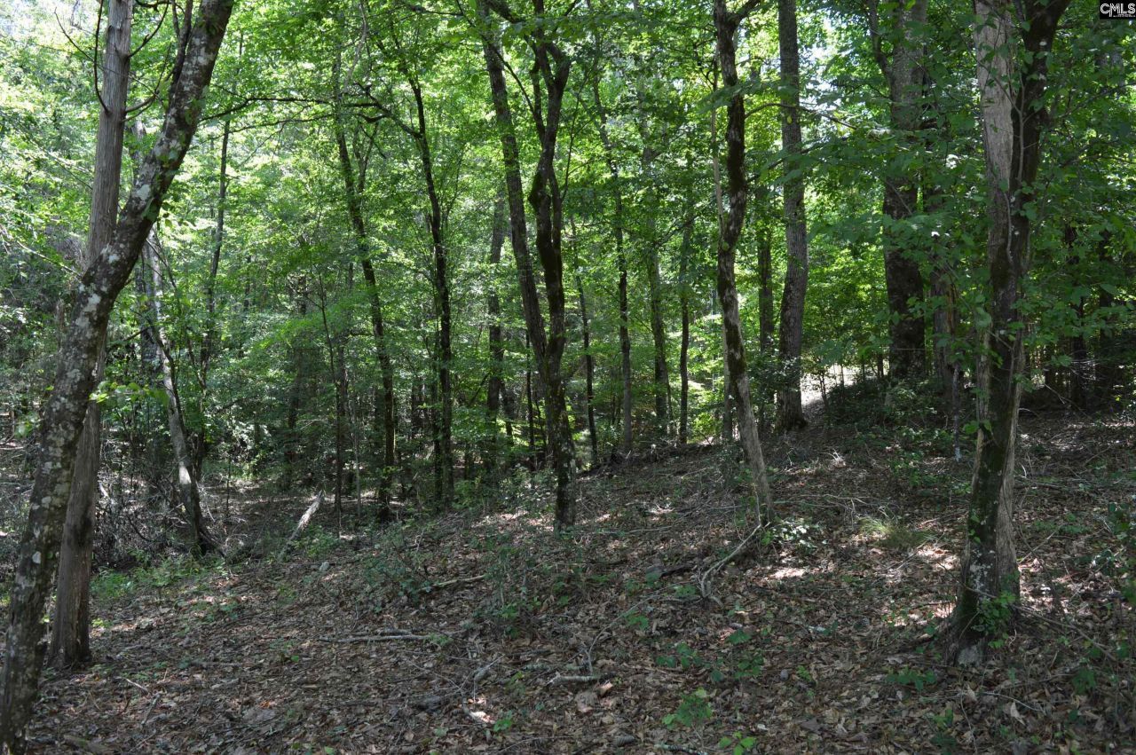 280 General Sumter Drive  Photo 15