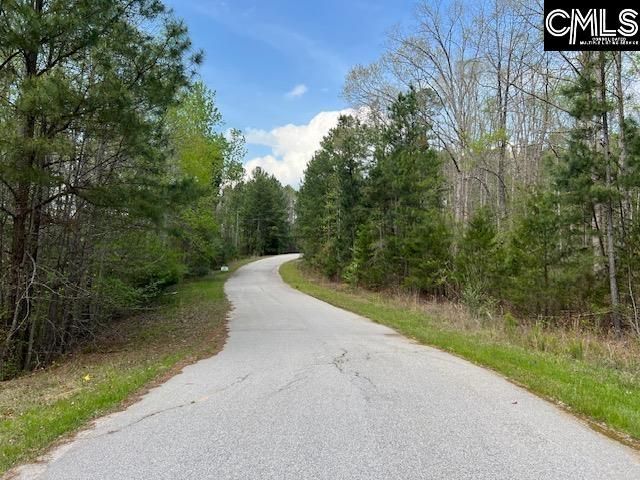 280 General Sumter Drive  Photo 16