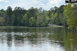 280 General Sumter Drive  photo 4