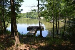 280 General Sumter Drive  photo 4