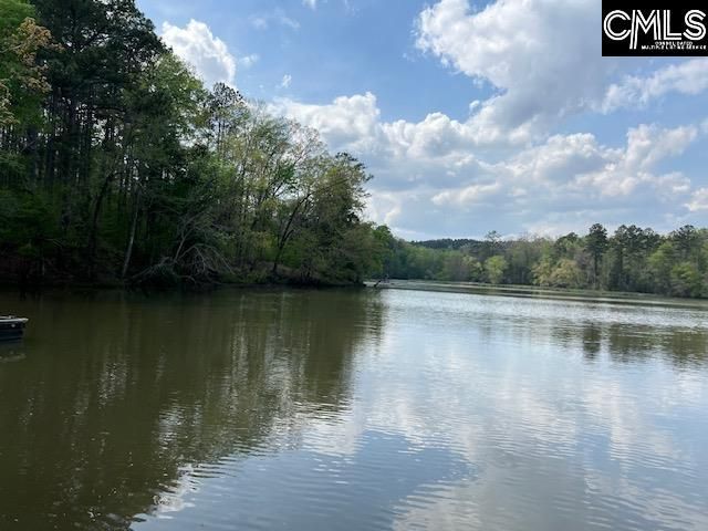 280 General Sumter Drive  Photo 4