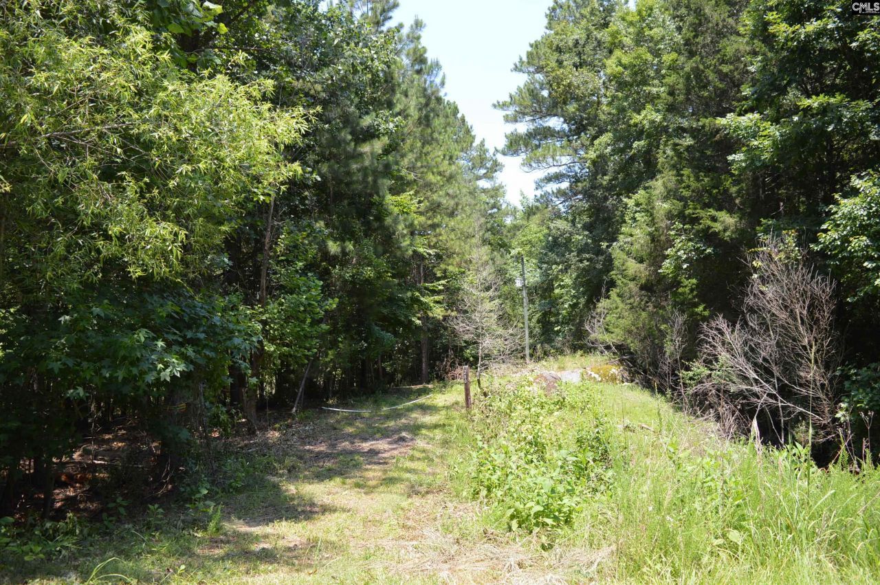 280 General Sumter Drive  Photo 5