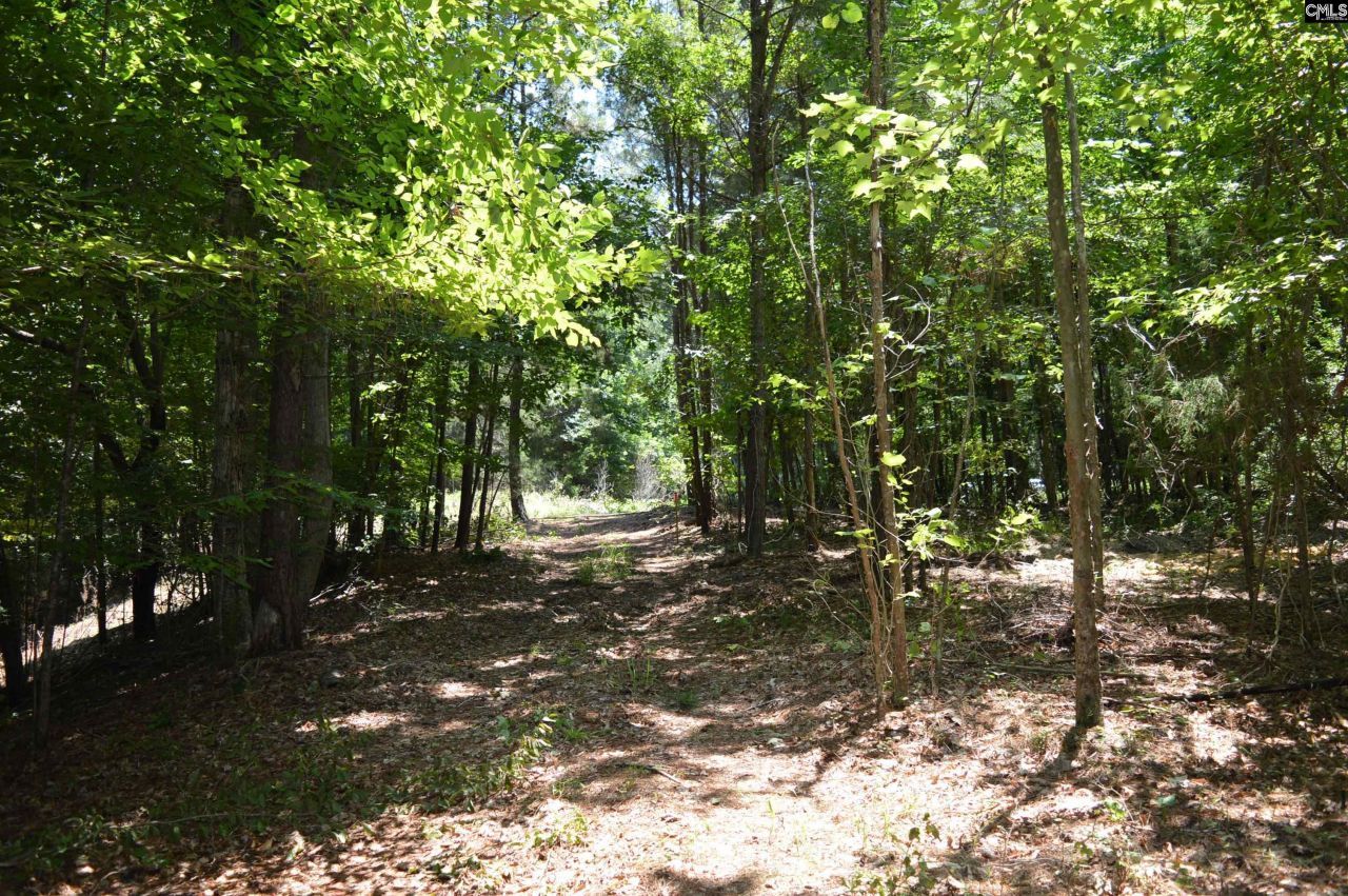 280 General Sumter Drive  Photo 6