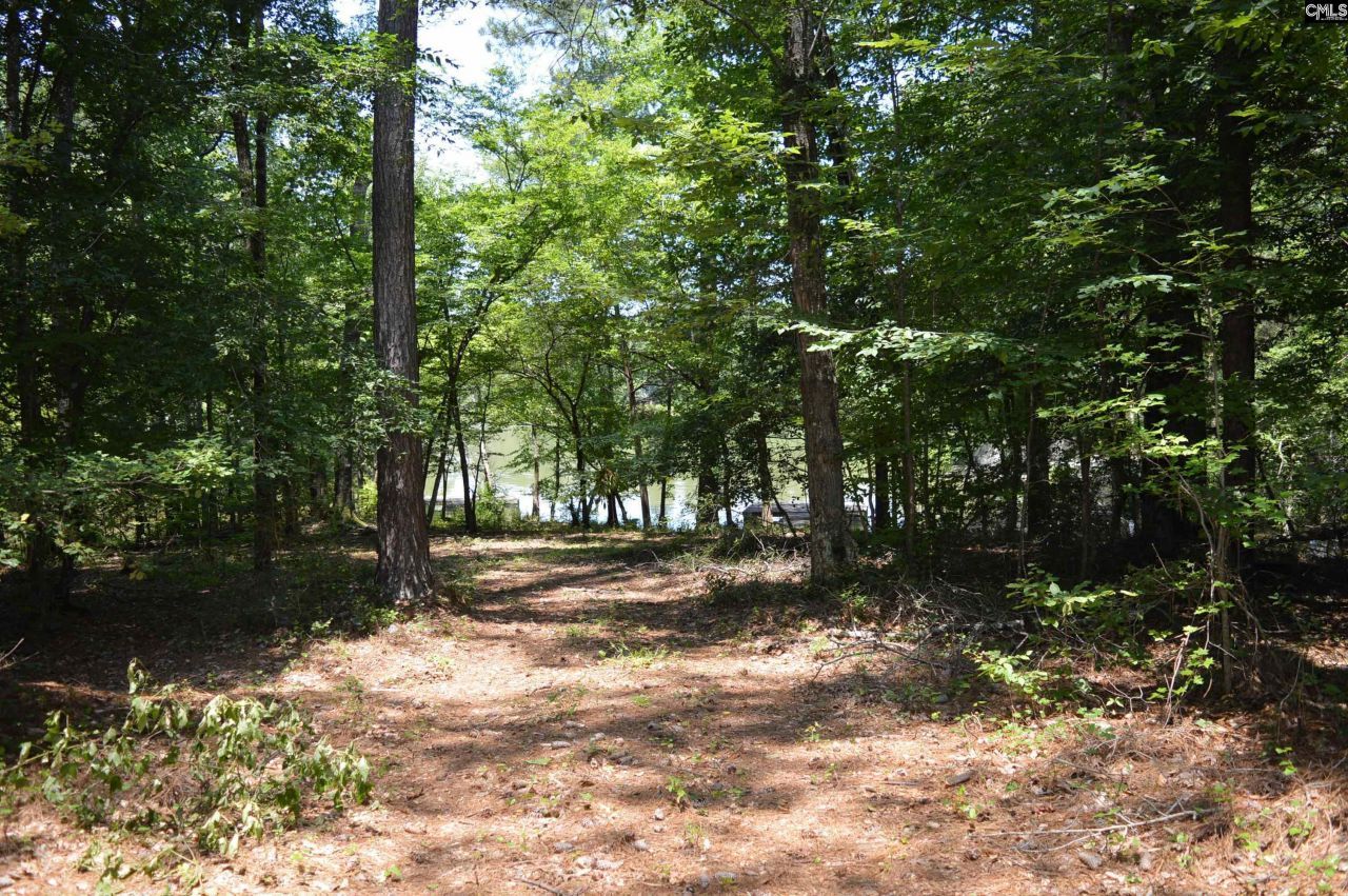 280 General Sumter Drive  Photo 7